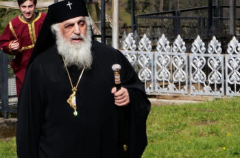 მეუფე სტეფანე სამკურნალოდ თბილისში გადმოიყვანეს